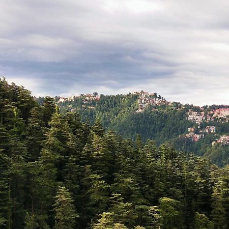 Neha Homestay Shimla Exteriör bild