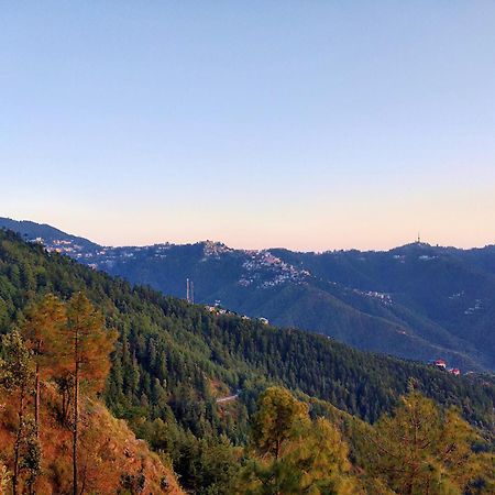 Neha Homestay Shimla Exteriör bild