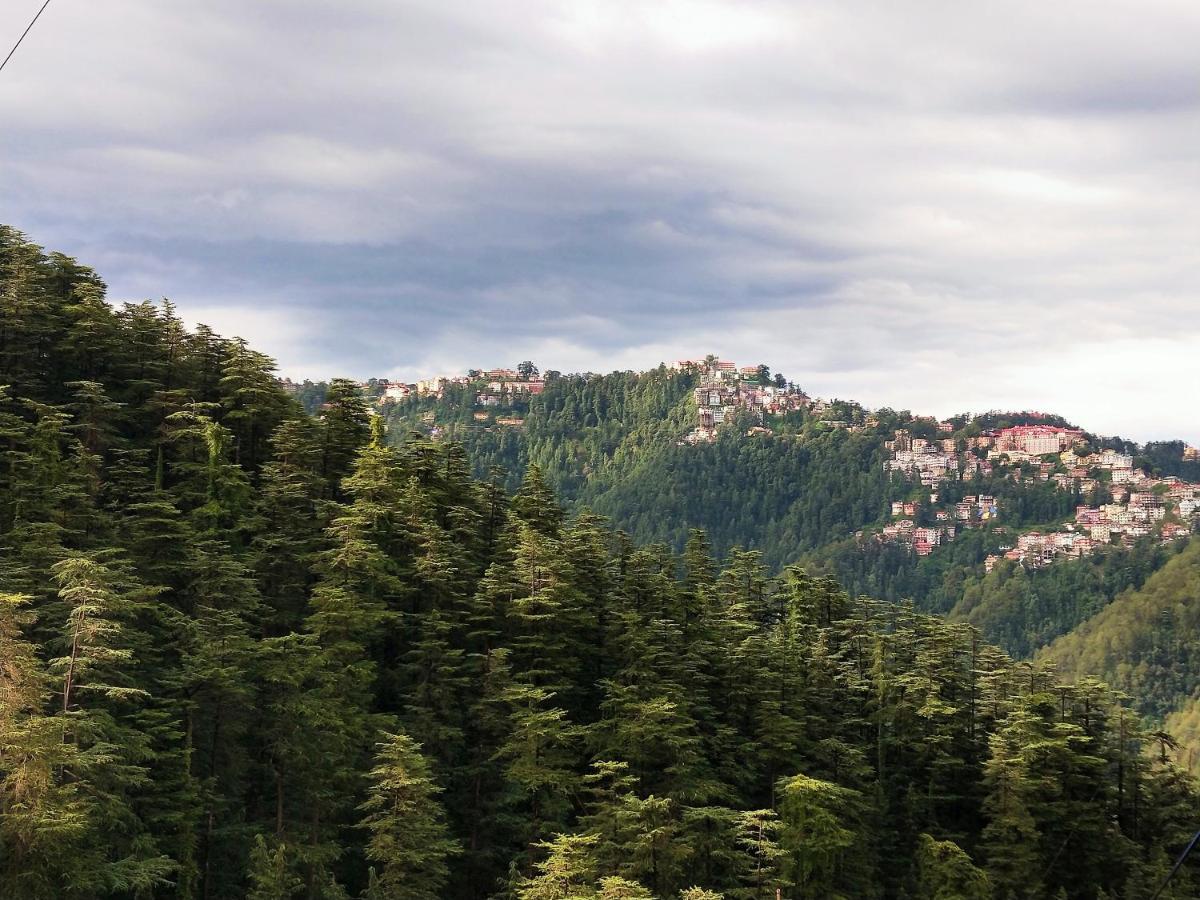Neha Homestay Shimla Exteriör bild