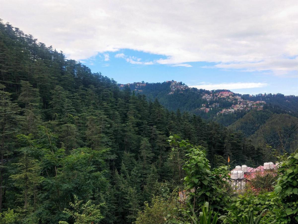 Neha Homestay Shimla Exteriör bild