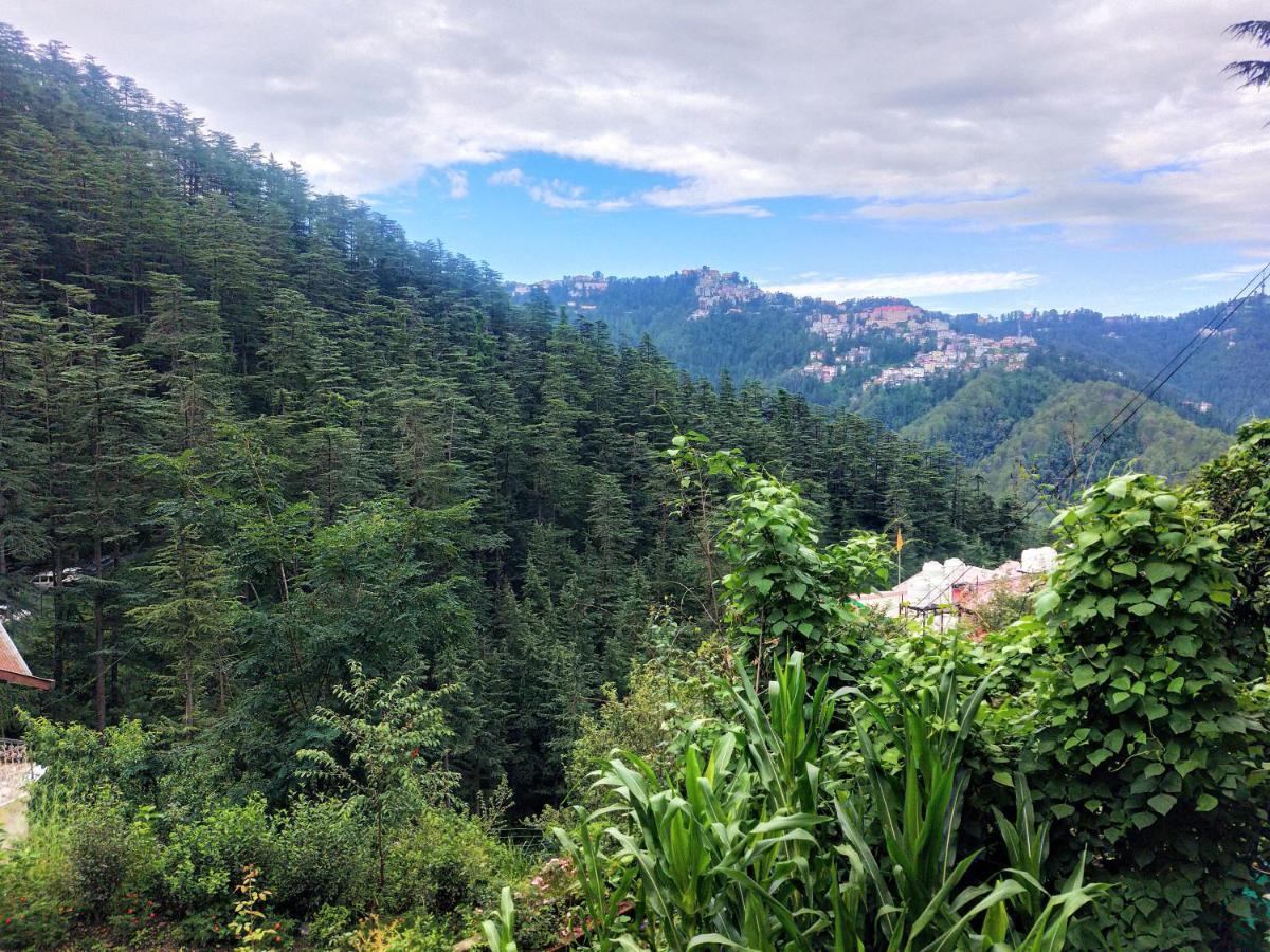 Neha Homestay Shimla Exteriör bild