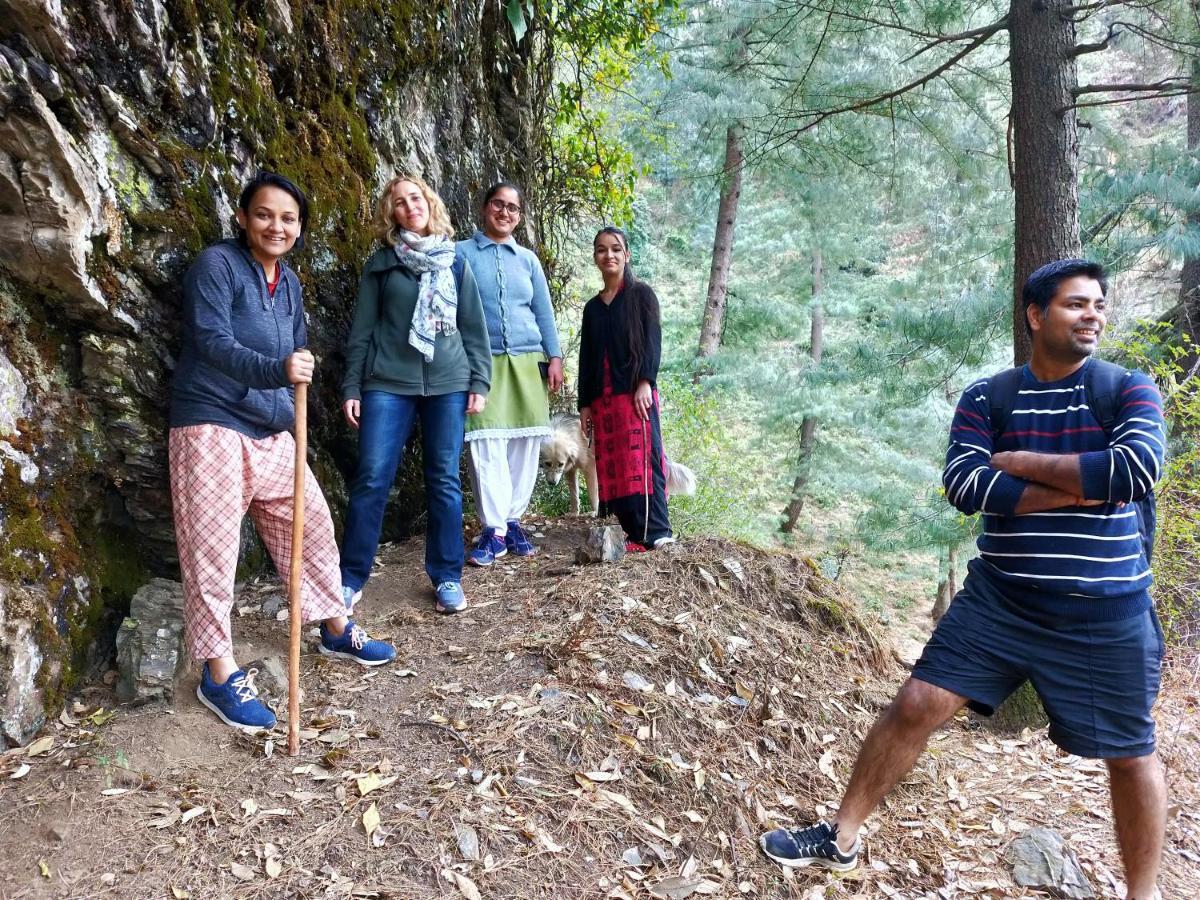 Neha Homestay Shimla Exteriör bild