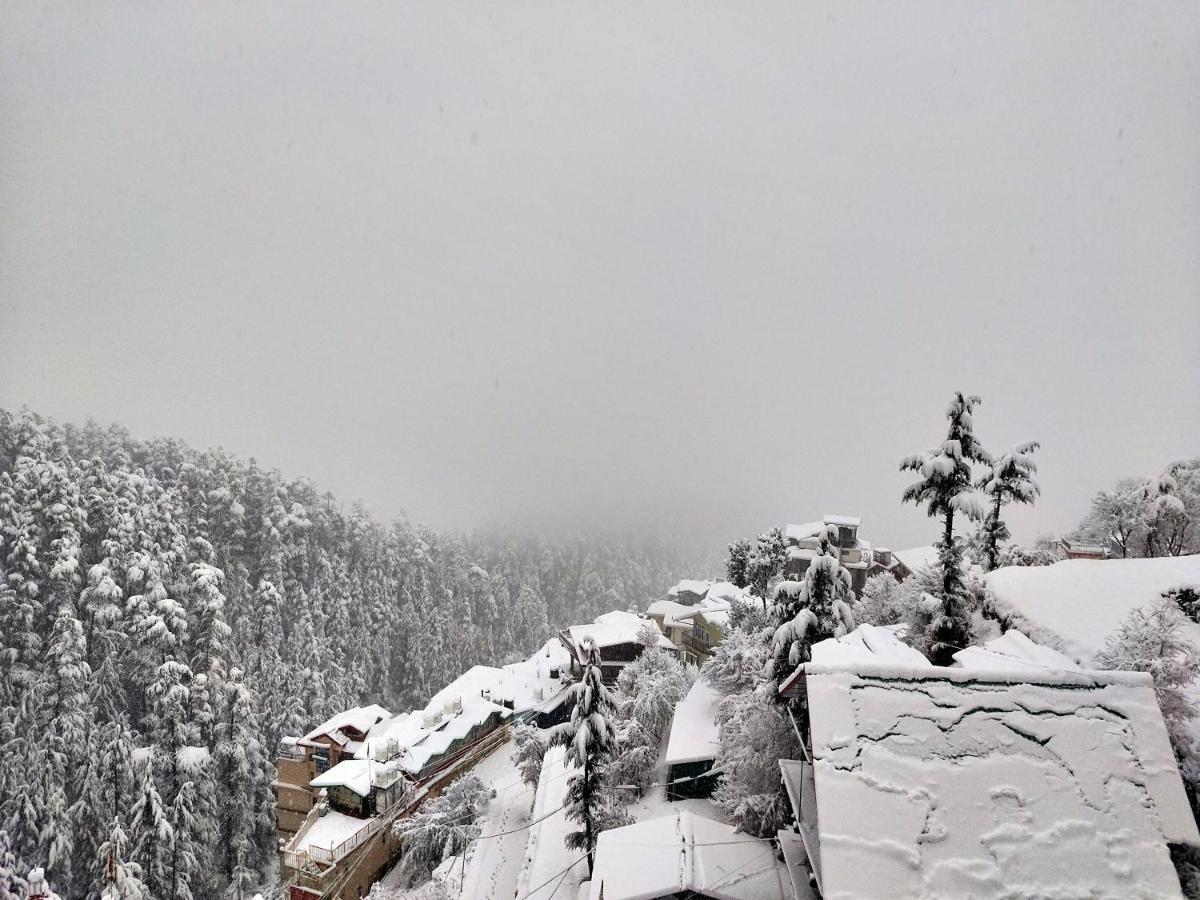 Neha Homestay Shimla Exteriör bild