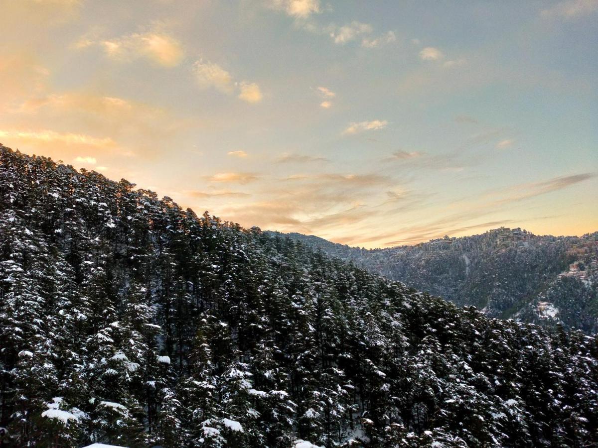 Neha Homestay Shimla Exteriör bild