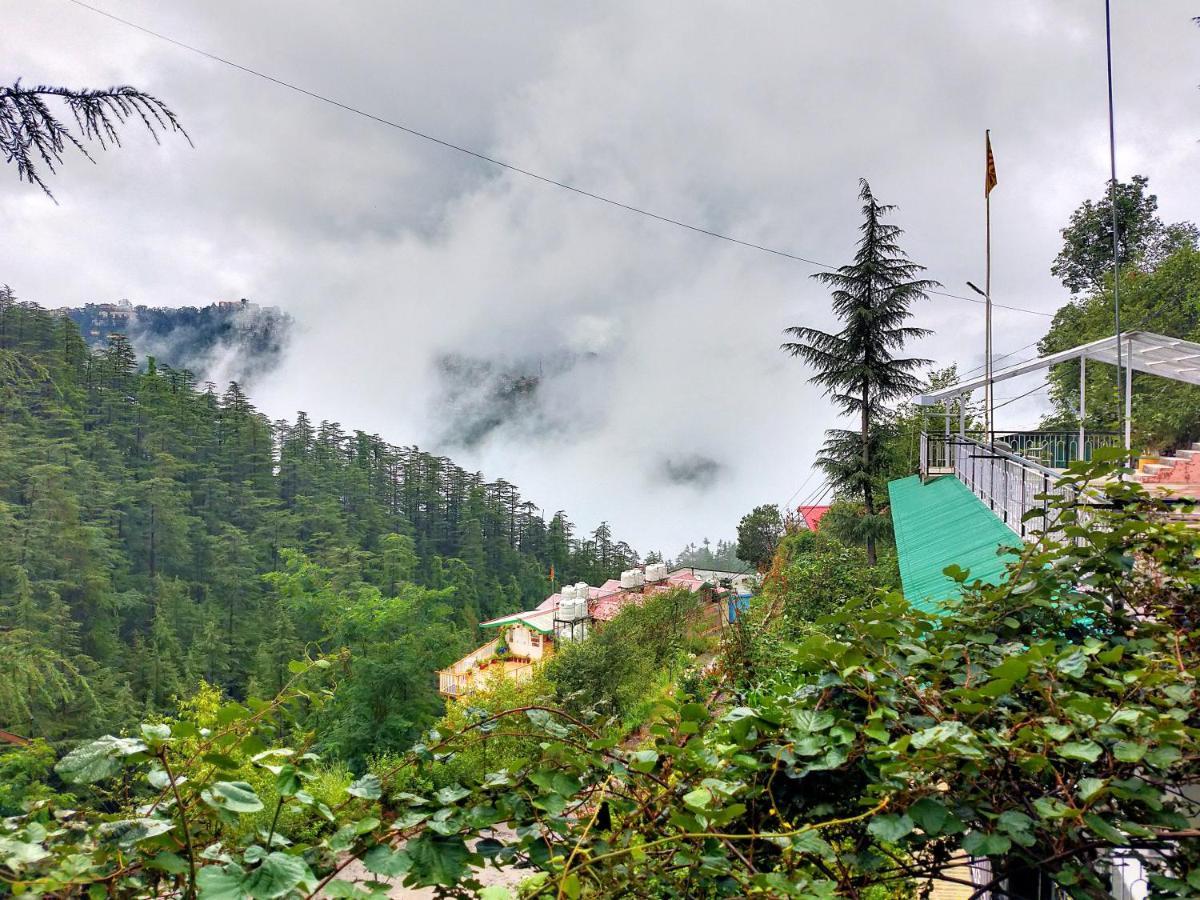 Neha Homestay Shimla Exteriör bild