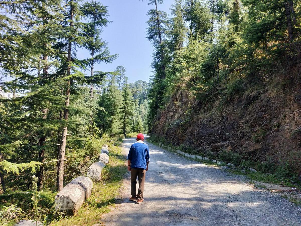 Neha Homestay Shimla Exteriör bild