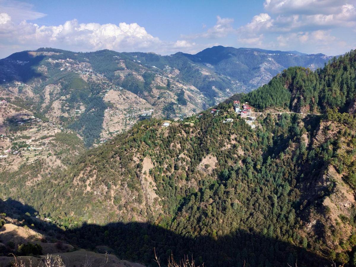 Neha Homestay Shimla Exteriör bild