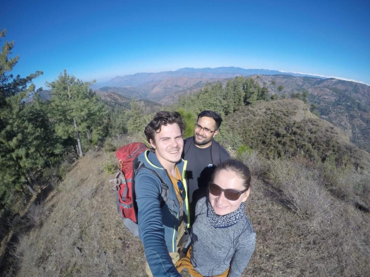 Neha Homestay Shimla Exteriör bild