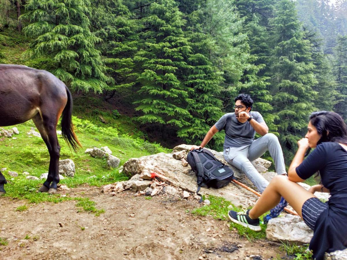 Neha Homestay Shimla Exteriör bild