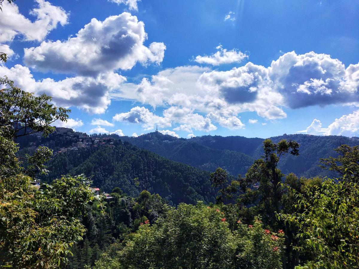 Neha Homestay Shimla Exteriör bild
