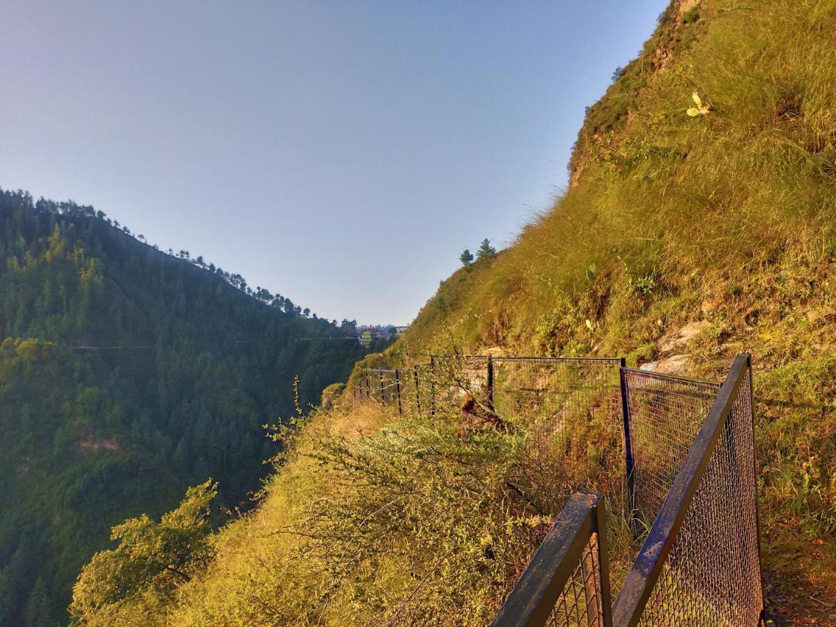 Neha Homestay Shimla Exteriör bild