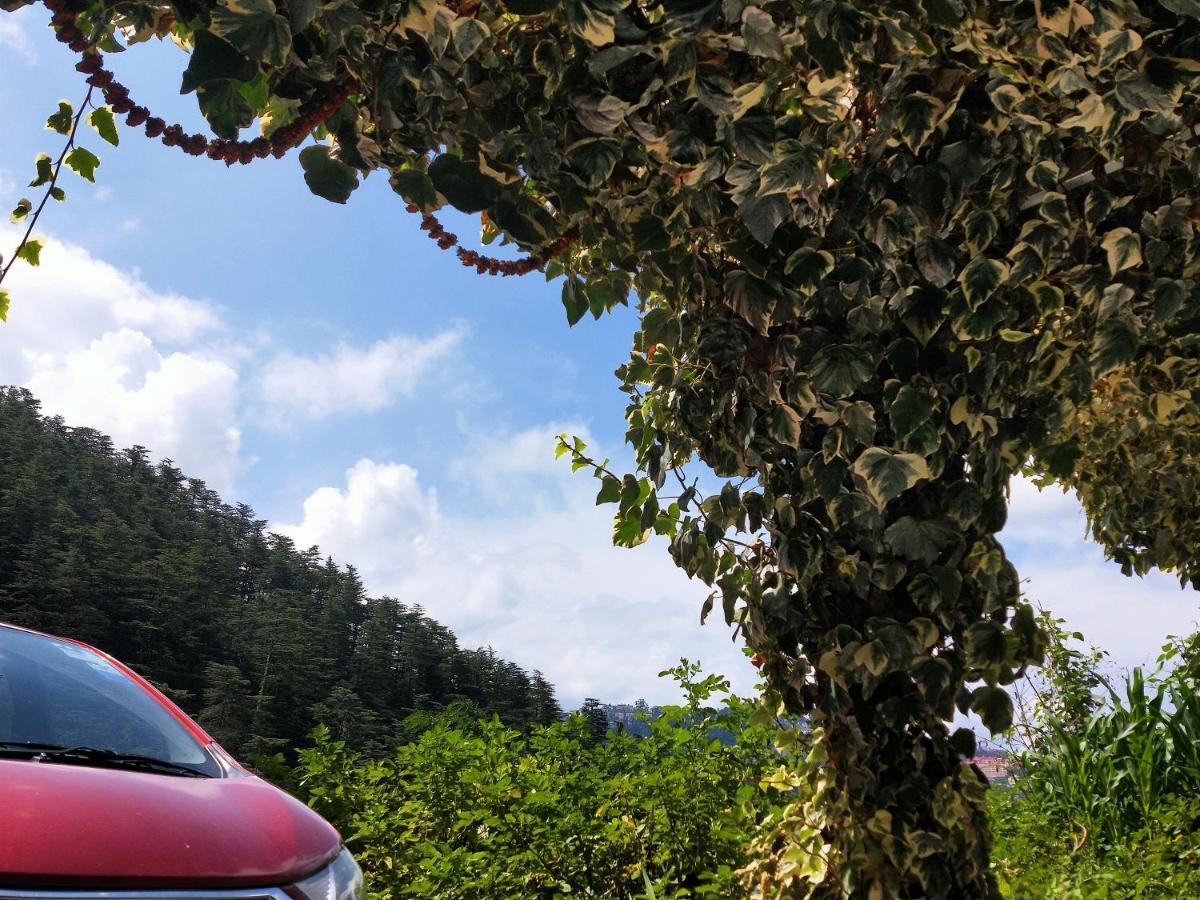 Neha Homestay Shimla Exteriör bild