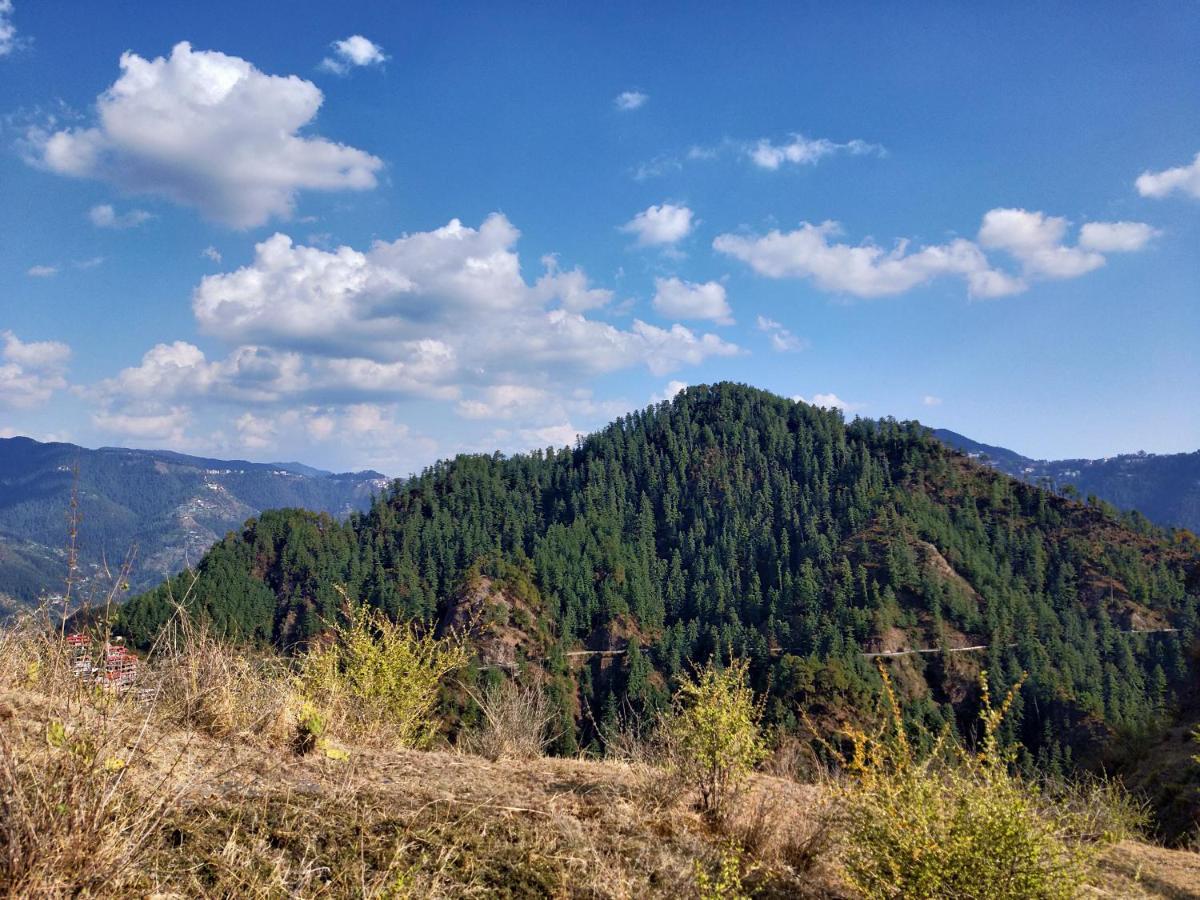 Neha Homestay Shimla Exteriör bild