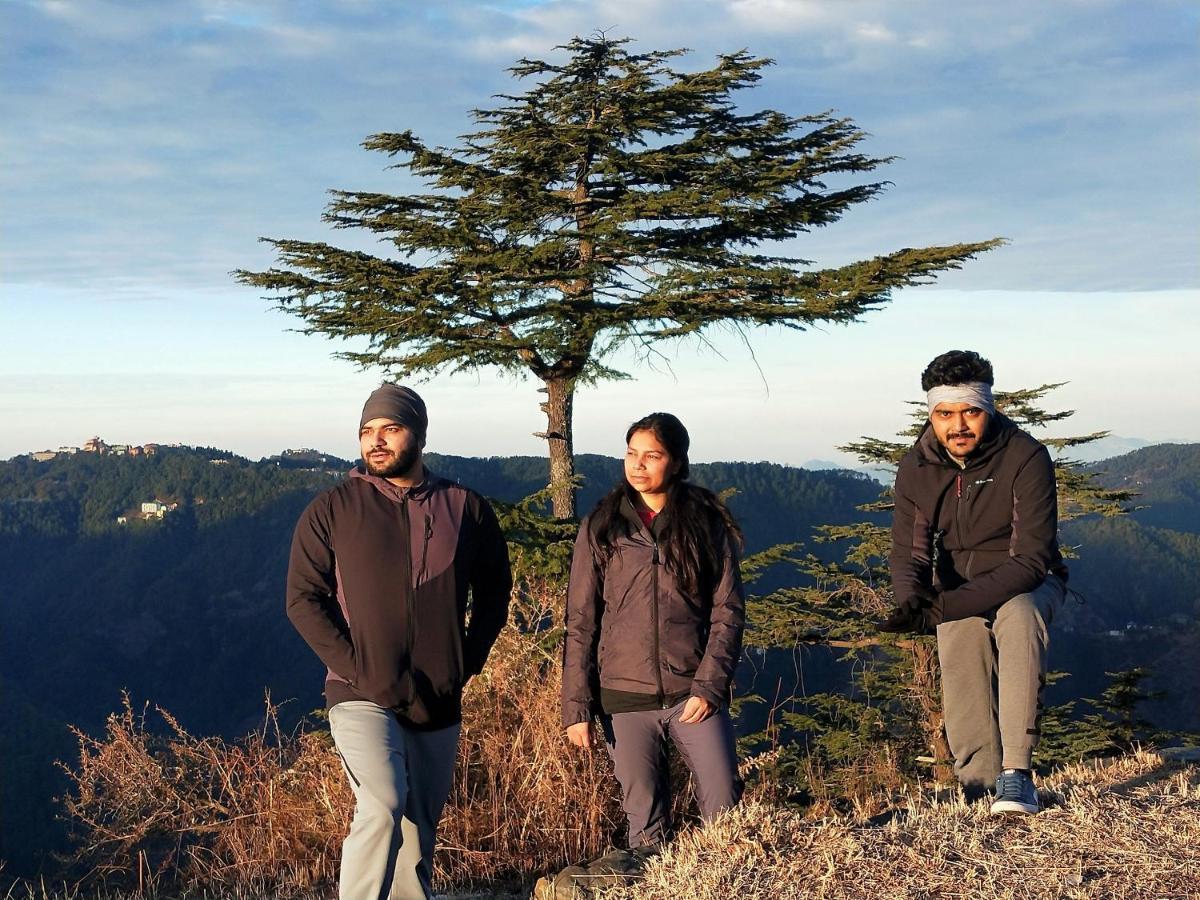 Neha Homestay Shimla Exteriör bild