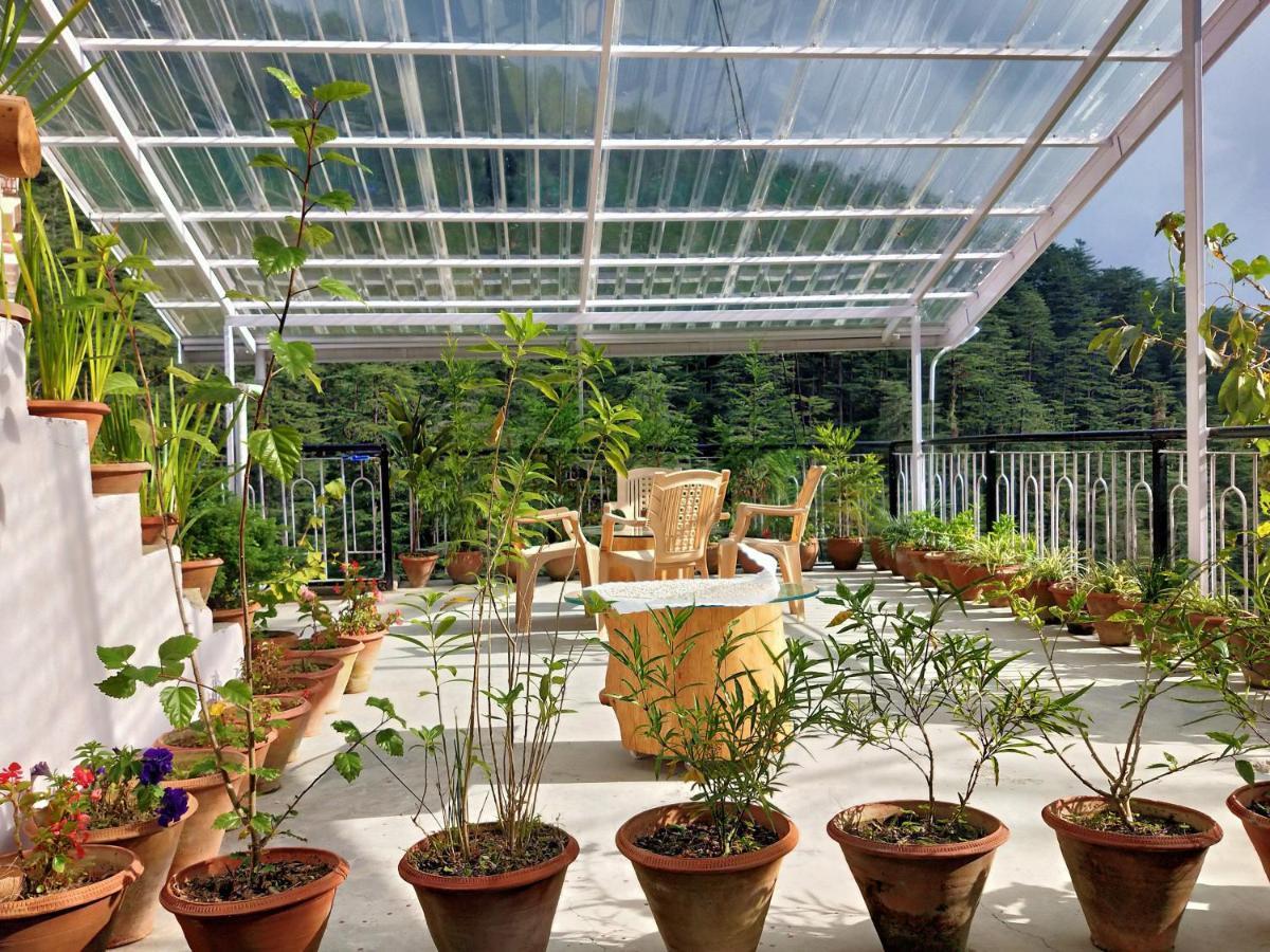 Neha Homestay Shimla Exteriör bild
