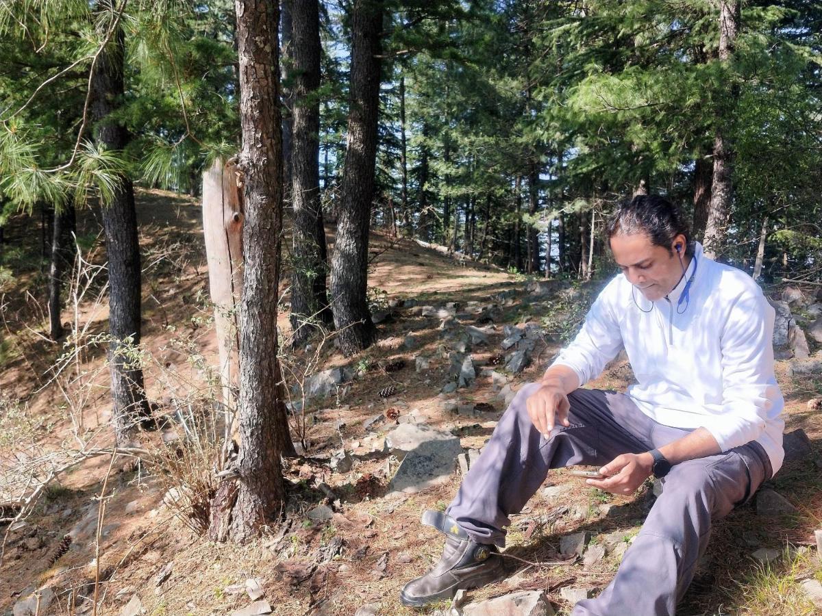 Neha Homestay Shimla Exteriör bild