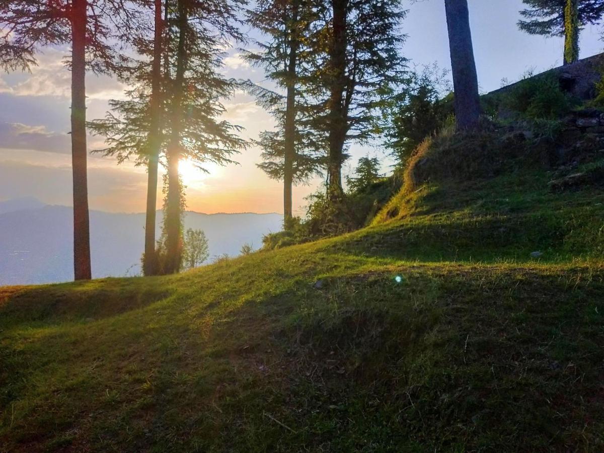 Neha Homestay Shimla Exteriör bild
