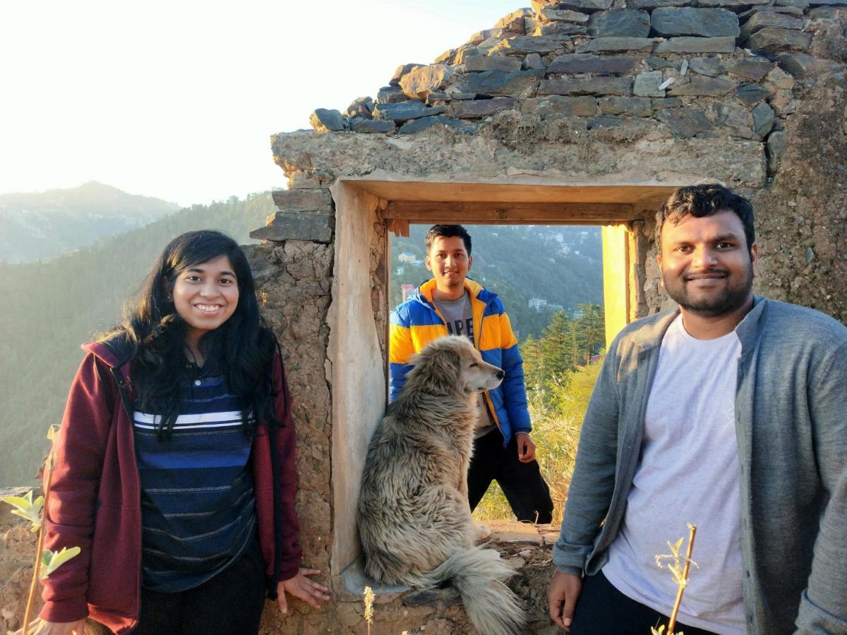 Neha Homestay Shimla Exteriör bild