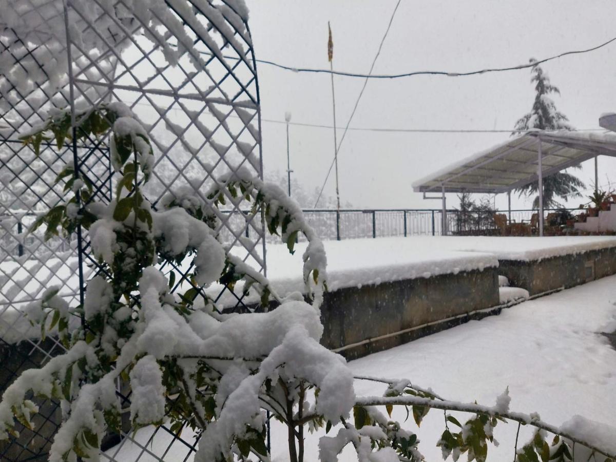 Neha Homestay Shimla Exteriör bild