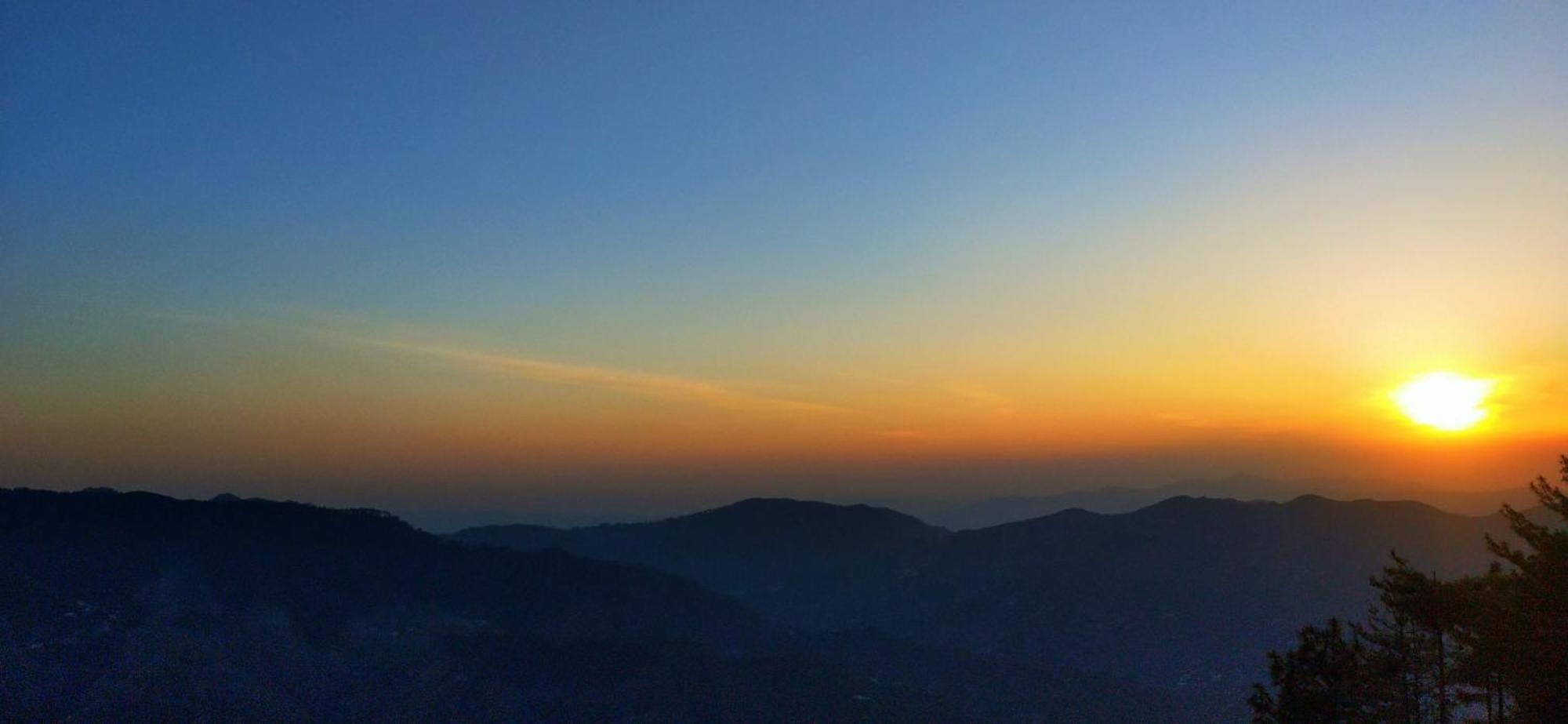 Neha Homestay Shimla Exteriör bild