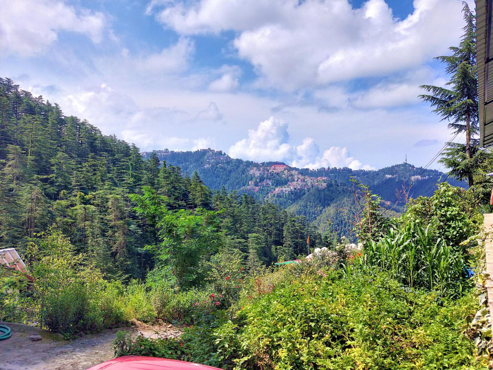 Neha Homestay Shimla Exteriör bild