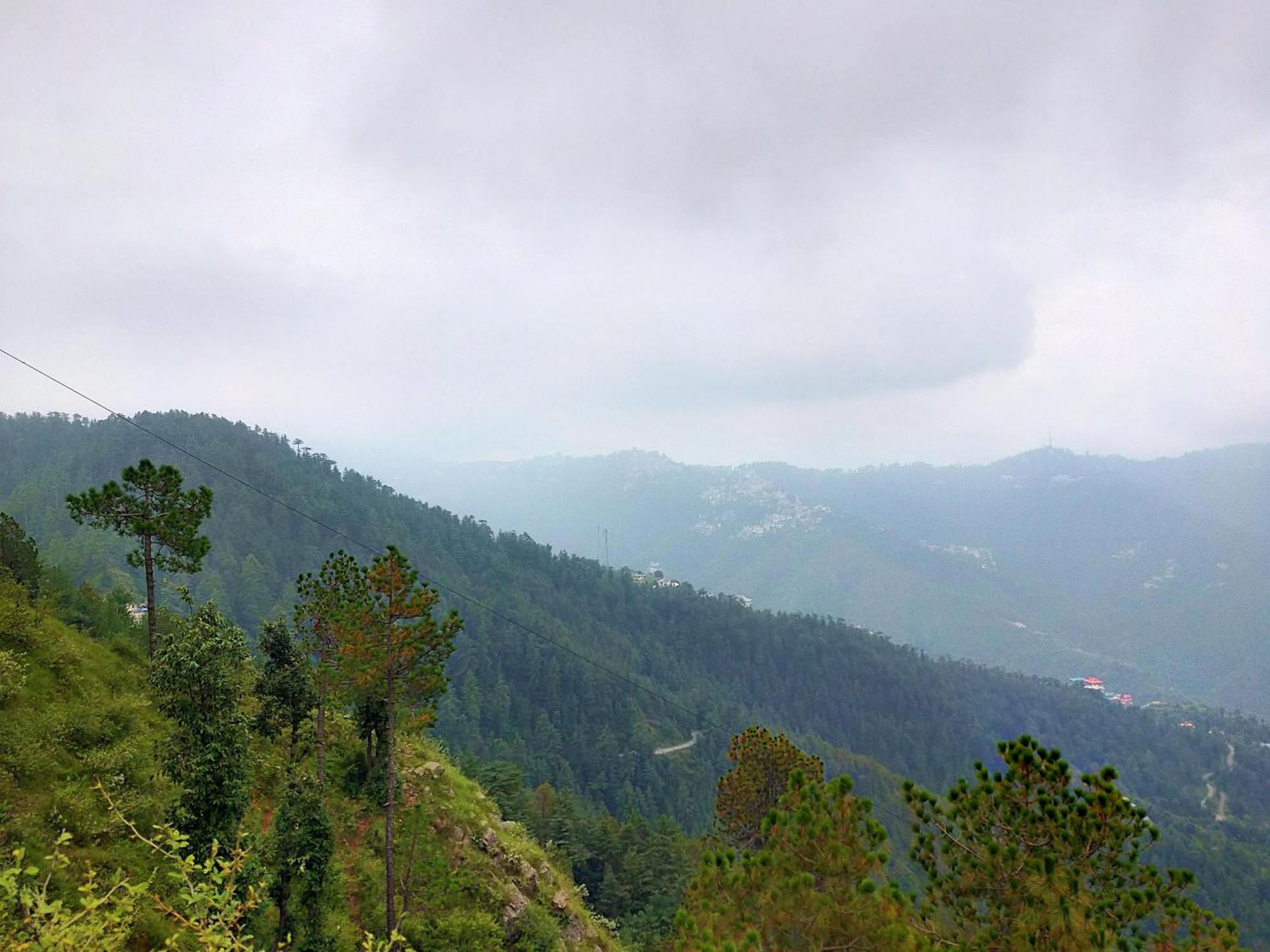 Neha Homestay Shimla Exteriör bild