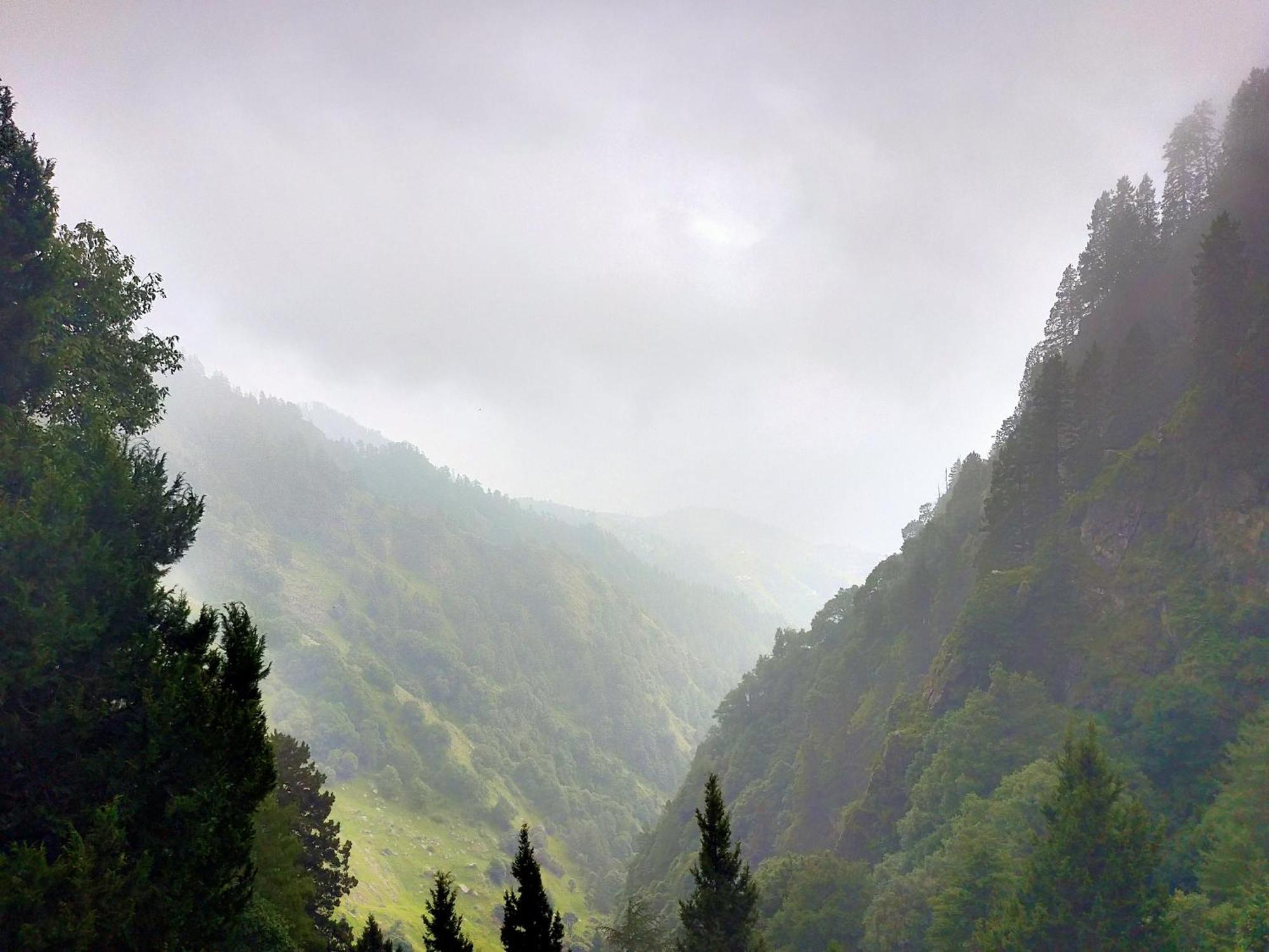 Neha Homestay Shimla Exteriör bild