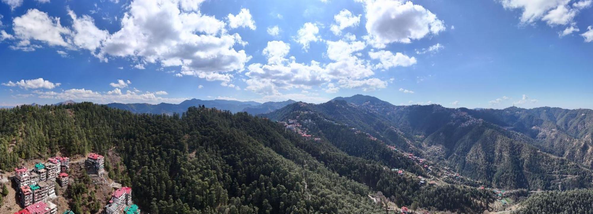 Neha Homestay Shimla Exteriör bild