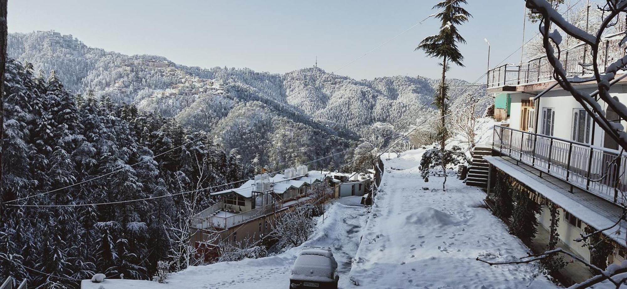 Neha Homestay Shimla Exteriör bild